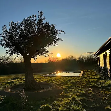 La Maison Des Bois Nyaraló *